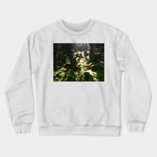 Burrator Wood, Dartmoor Crewneck Sweatshirt